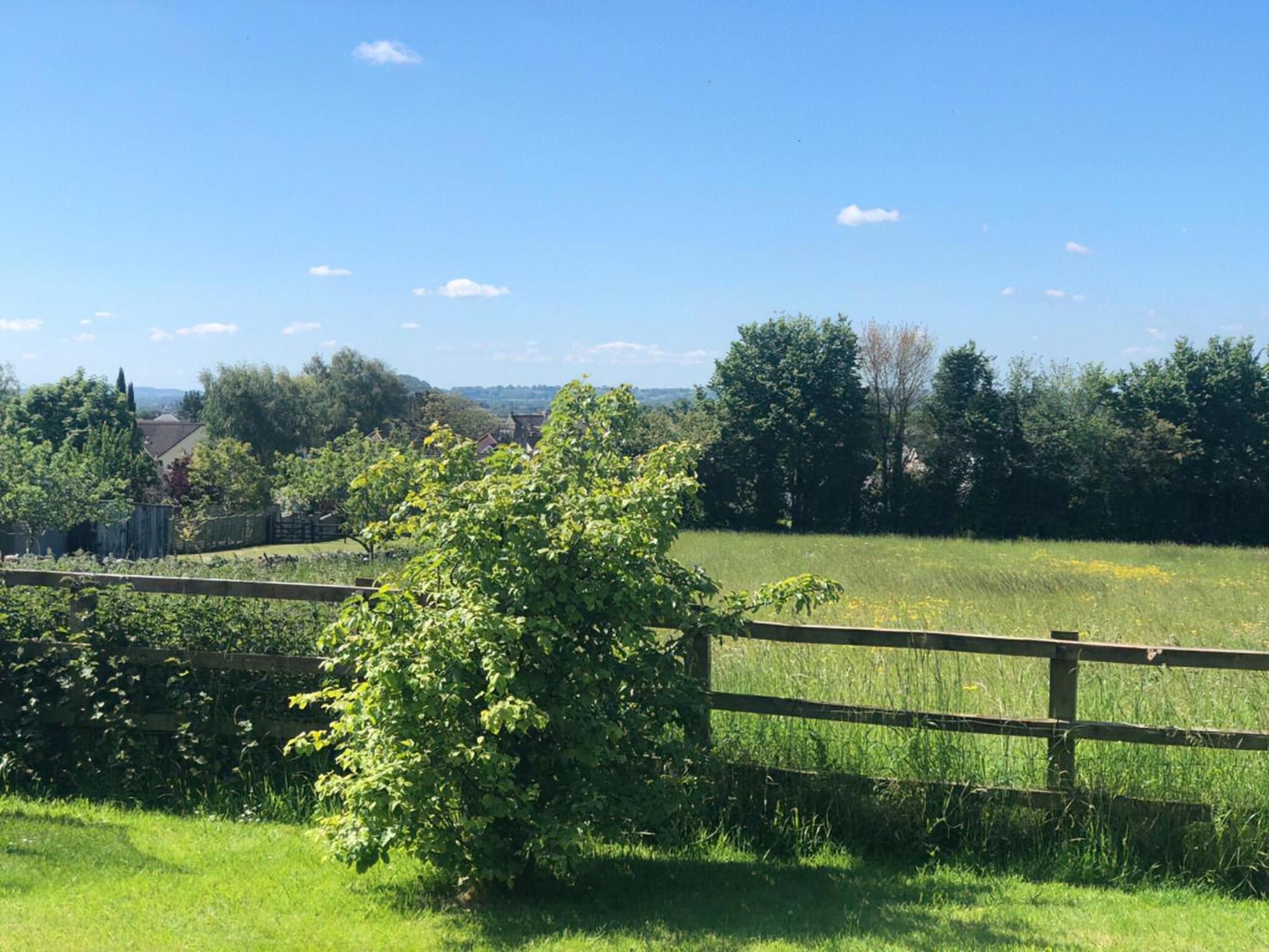View-uk34414